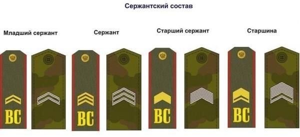 Сержант: Сержант - это ключевое звание, отвечающее за надзор и управление группой офицеров низшего звена. Знак отличия сержанта обычно представляет собой одну полоску или набор символов, которые отличают его от других сотрудников.