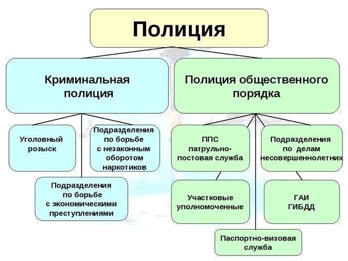 Полицейская иерархия: Как устроены правоохранительные органы