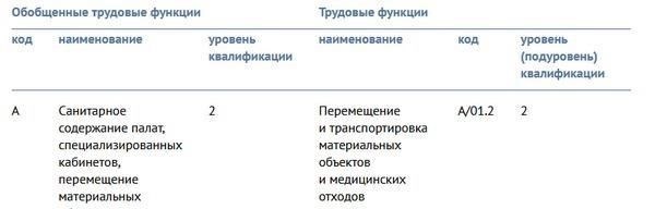 Права и обязанности старшего персонала по отношению к младшему персоналу