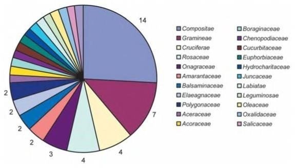 Проблемы сохранения растений семейства Rosaceae и пути их решения