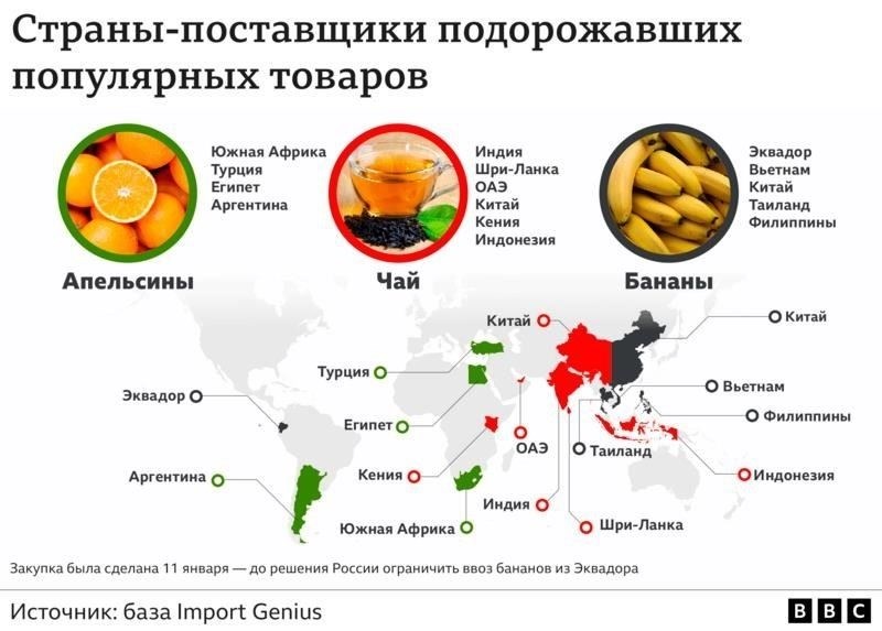 Стратегическое значение крестоцветных культур в цепочках военных поставок