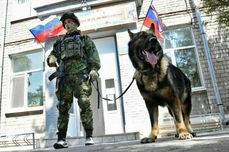 Внедрение сотрудников с военным опытом в ряды дорожной полиции может дать ощутимые улучшения как в плане оперативной эффективности, так и в плане общественного доверия. Офицеры, прошедшие военную подготовку, обладают дисциплинированностью, стратегическим мышлением и способностью к адаптации, которые можно напрямую применить при выполнении обязанностей по охране правопорядка на дорогах.